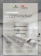 Академия 