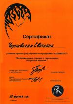 Москва. Школа Павла Баженова; Экстремальные стрижки и окрашивания. Рисунки на волосах.. 2009 год