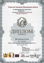 Воронеж. Открытый Чемпионат Воронежской области по парикмахерскому искусству и барберингу / Полуфинал Чемпионата России 2018; «Авангардная прическа» - Мужские мастера - 1 место. 2017 год