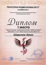 Москва. XI Чемпионат  по парикмахерскому искусству «Просторы Подмосковья»; Модная мужская стрижка «Barber cut»  - 1 место. 2017 год