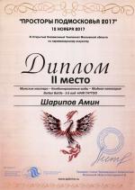 Москва. XI Чемпионат  по парикмахерскому искусству «Просторы Подмосковья»; «HAIR TATTOO» (Фигурный выстриг волос в виде татуировки)  - 2 место. 2017 год