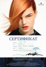 Сургут. Академия 